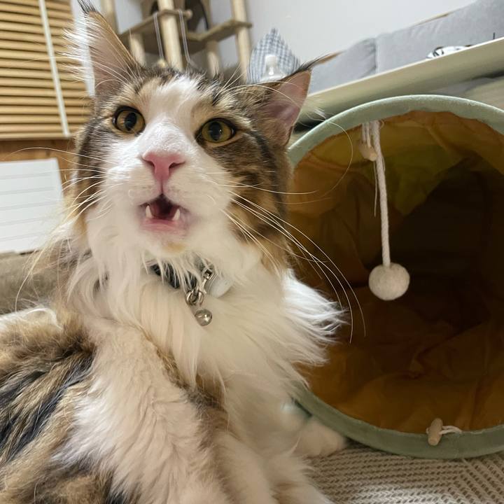 A00ab316 f995 459b 8dc2 bc59dbb0099b 1649524097501