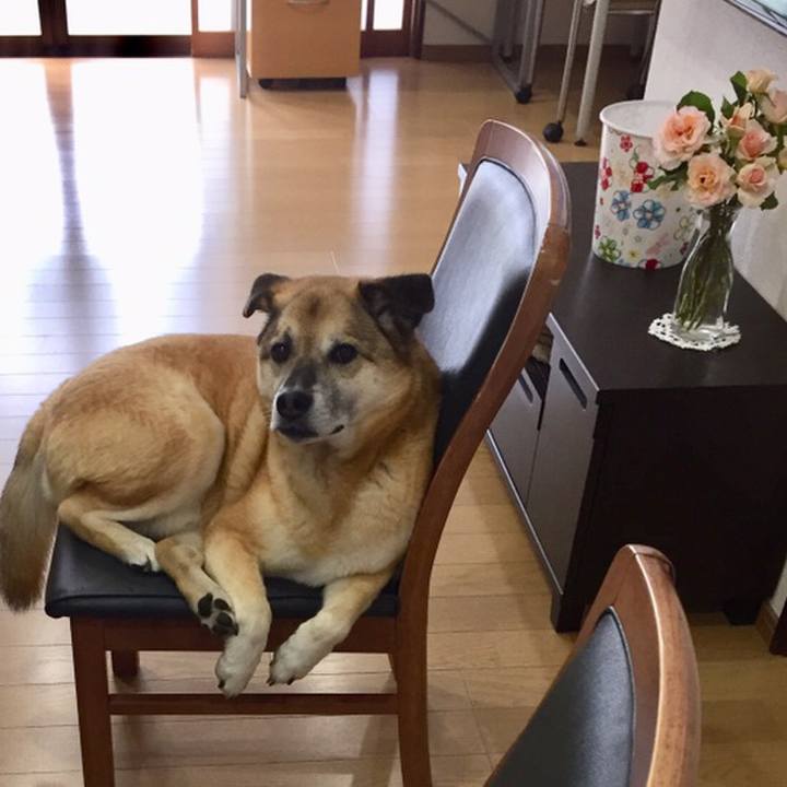 A00ab9b7 c336 4d26 acad ed933fcabfe4 1558307250071