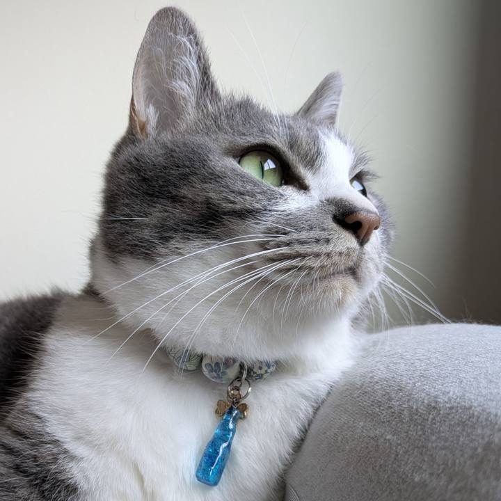 A00acb10 dd71 4084 b243 decbe06f3c71 1753314628950