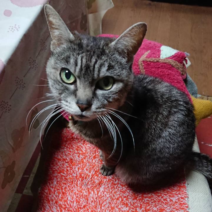 A00ace22 44ea 47c9 91ac c862bd118524 1555797902609