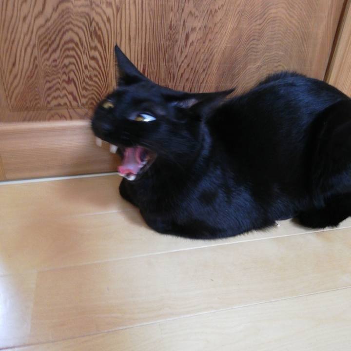 A00af648 72a0 4fd1 b406 0ca720d56f26 1609235049048