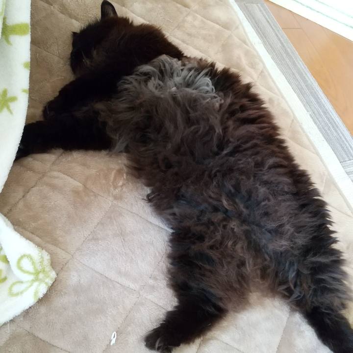 A00b0951 8407 421a 8efa 0081dfc6d5d1 1647731478379