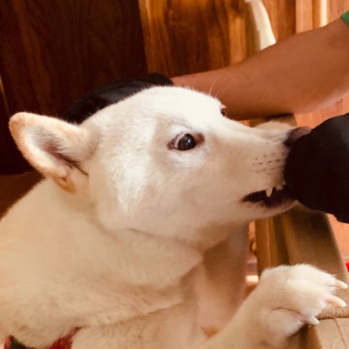 A00b26c6 5048 462b 9f40 9e748273b76e 1568776312481