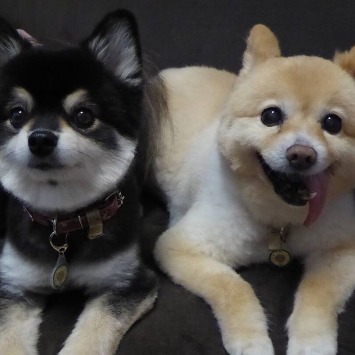 A00b37e1 c674 44b7 bbe7 97137ba1478d 1534211488425