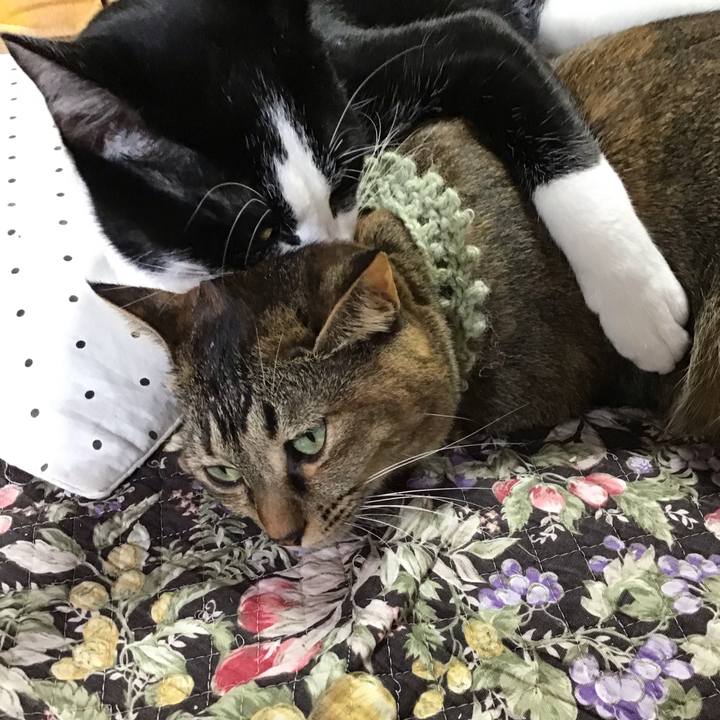 A00b536a 2d77 46cf b918 1066b14e10ee 1640393917358