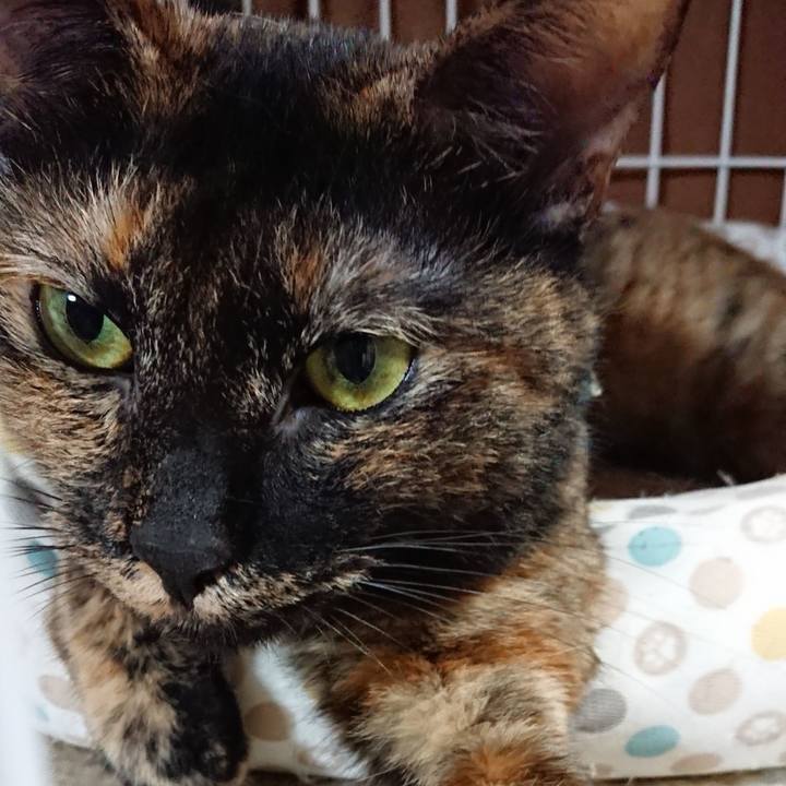 A00b6087 93e2 4d5a 93dc 6e0f666aec17 1559614227313