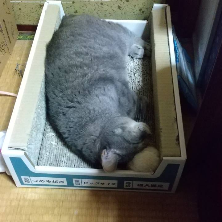 A00b7429 46a5 48f8 9ae1 9d7d398d7bae 1665497688842