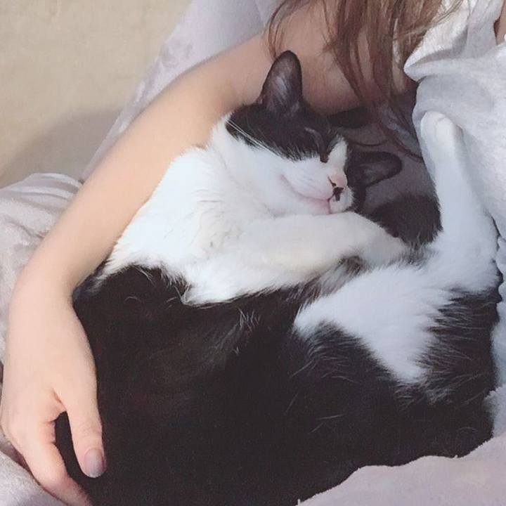 A00b80aa 8f53 416e a915 1043a064854a 1586730977691