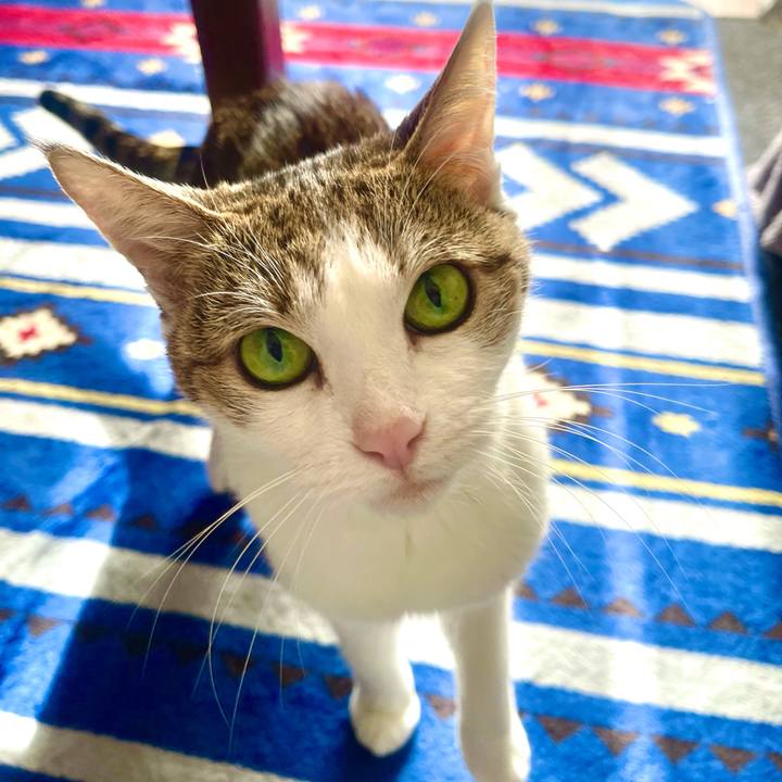 A00b8559 fc53 41d9 bbe4 610aece55f5c 1636855593197