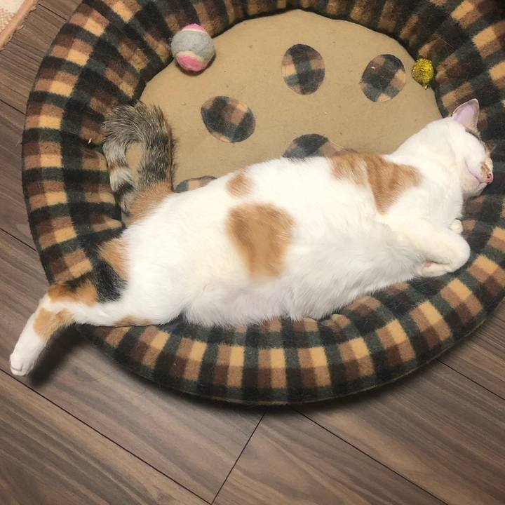 A00bba09 dec0 4725 b9f2 4d15b8bec4c9 1584797113960