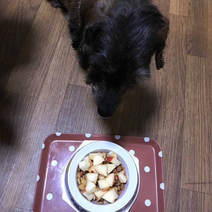 A00bce25 ae7e 4c38 96a9 48938641ca54 1518953201416