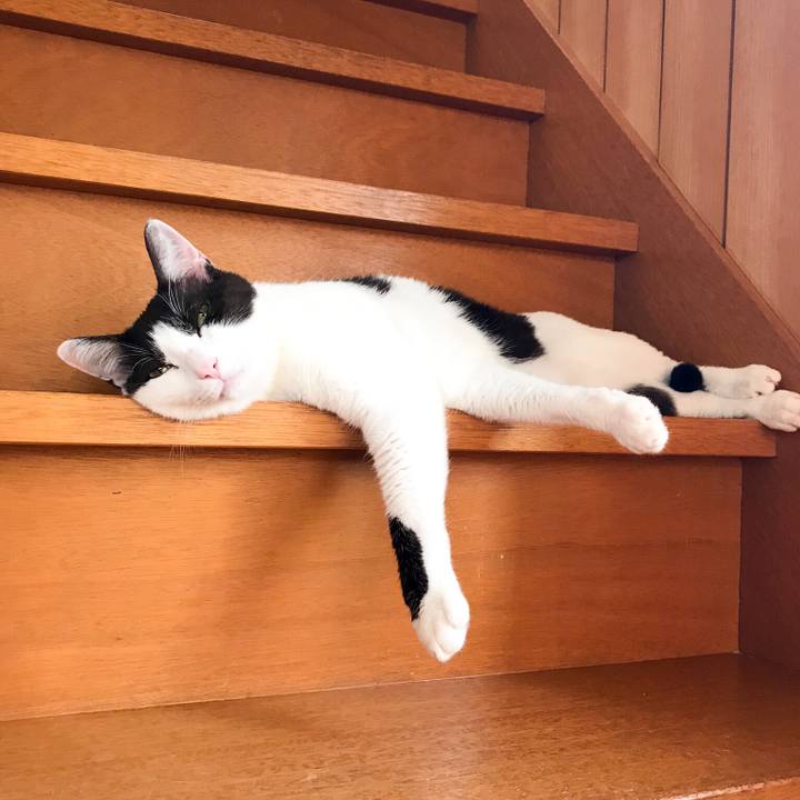 A00bcf15 a73c 4d8b a5fd 1b65af38a168 1530235849236