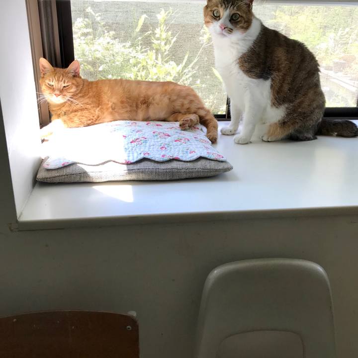 A00bdf75 b251 48fe b236 614ed41c1fb2 1560823639075