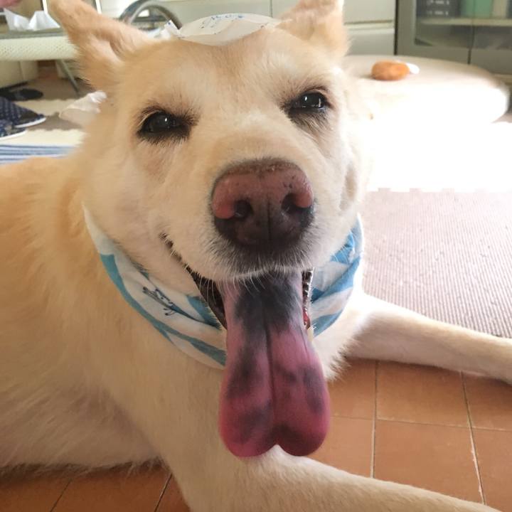 A00bea23 0f53 4fd8 a58b 8ddb19e98e6d 1533436084983