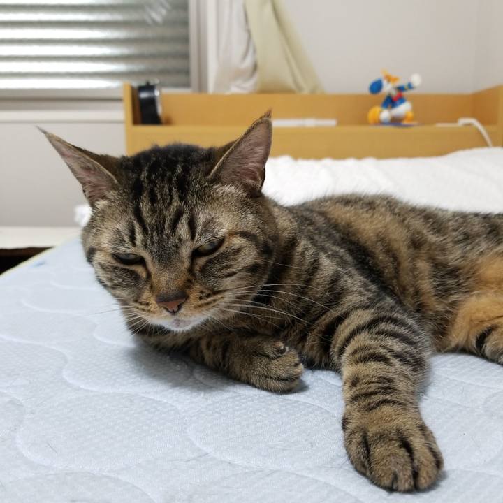 A00bebcf 11ab 4712 9798 bacd8e1e94ce 1559510983917