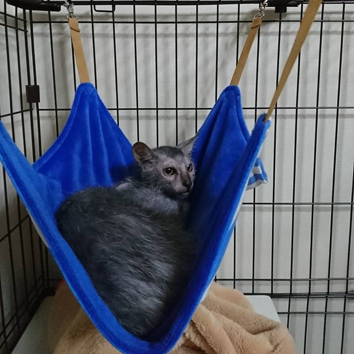 A00c10b2 4b90 4325 aeac 1212e2a46ba0 1514422993821