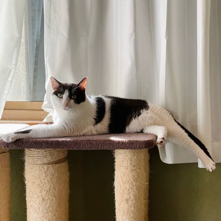 A00c3863 12b9 4c87 892e 99a4db1fcac7 1632190042878