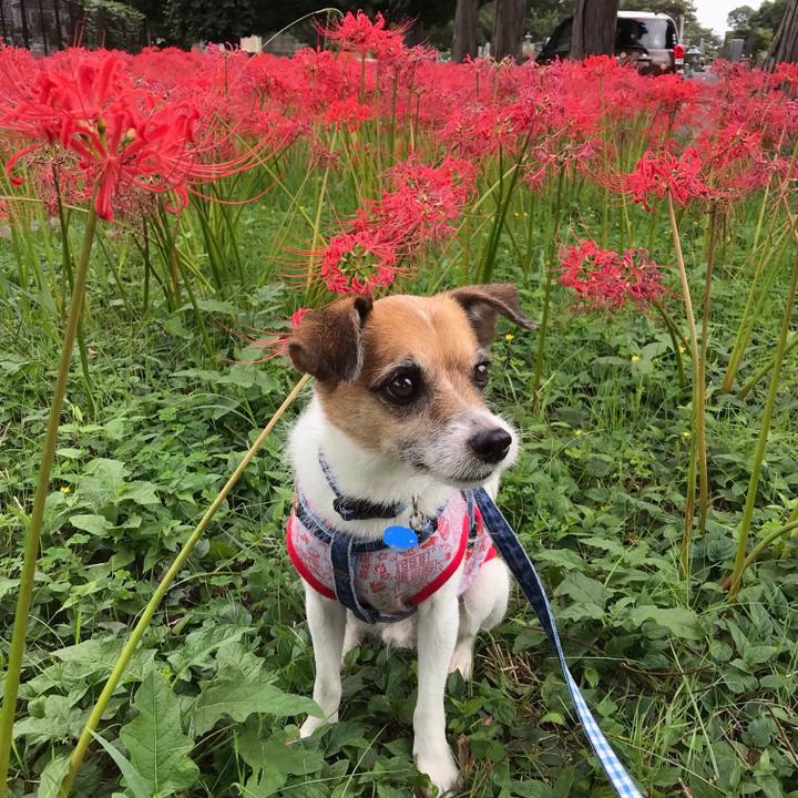 A00c3a46 a8ec 4746 a9fe 5e52450fd4f1 1537762244391