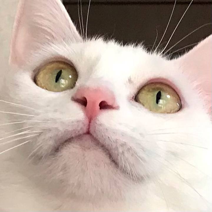 A00c92c4 ea97 497c 8e2a e1f77c725852 1632039174938
