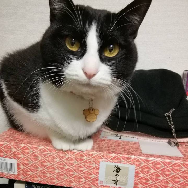 A00cba8b 05a8 4b31 9dba bfebf109ae61 1575556428503