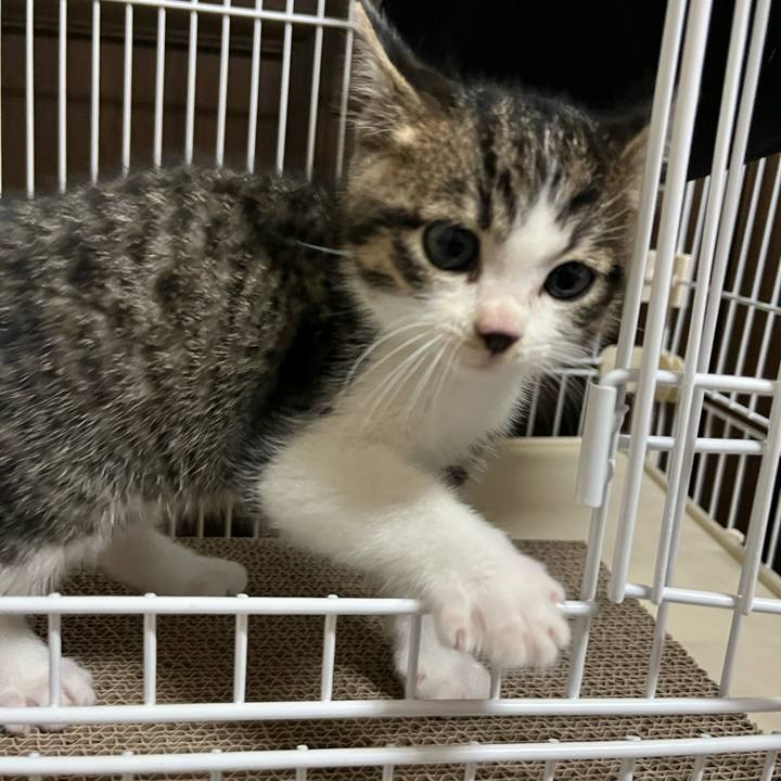 A00d55fe 95ea 4310 88c7 bcdaf1c706fc 1764800431436