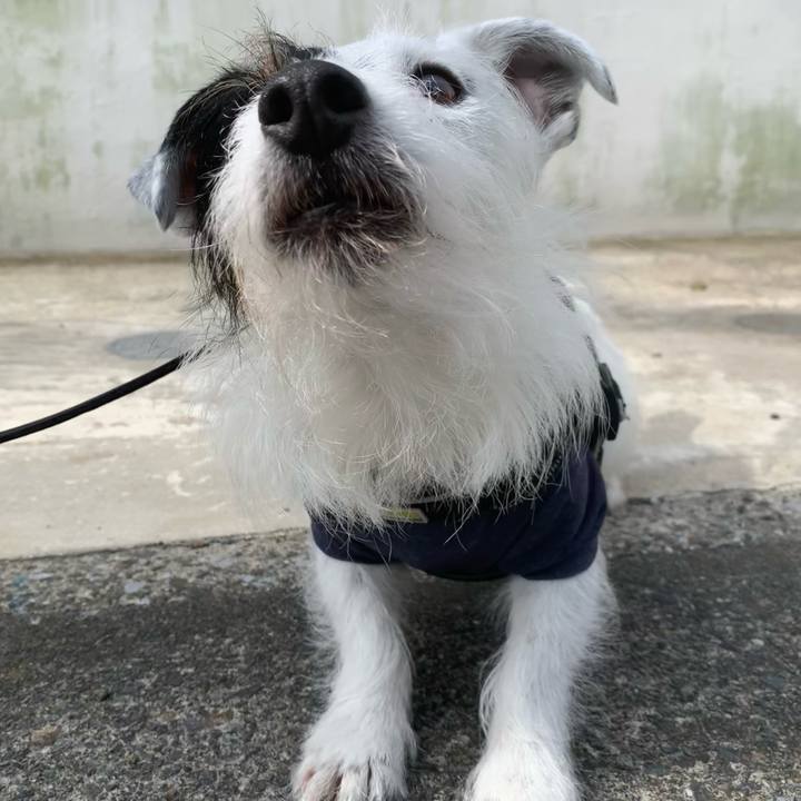 A00d7da9 efab 4b95 89aa 0ed5ec7a245c 1651793779793