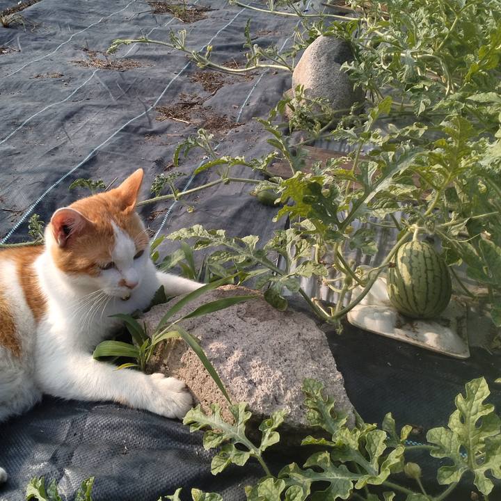 A00da40e 0205 488f 8282 1406bd259fcf 1751704953936