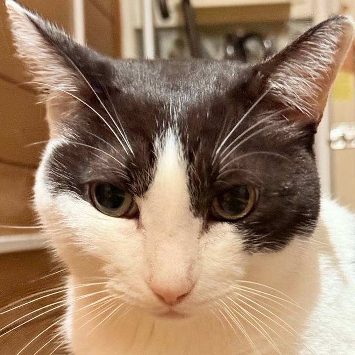 A00da4bc a358 4790 bbd7 b44385dee0a3 1730512255886