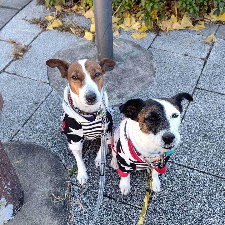 A00dbdef 5f1b 4600 aa22 ccb54096aac1 1671754566260