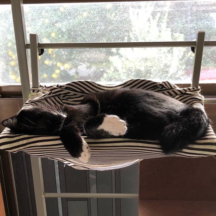 A00ddc41 057e 40fd b580 f9c6b7dabd0b 1541994886949