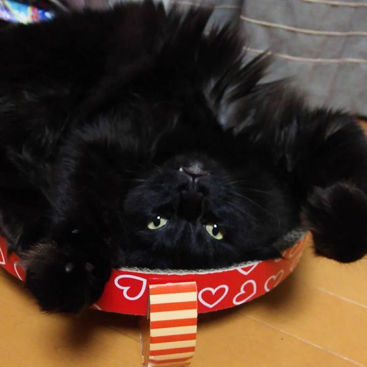 A00ddf90 415c 4dd5 a705 b652962e3b18 1529063635682