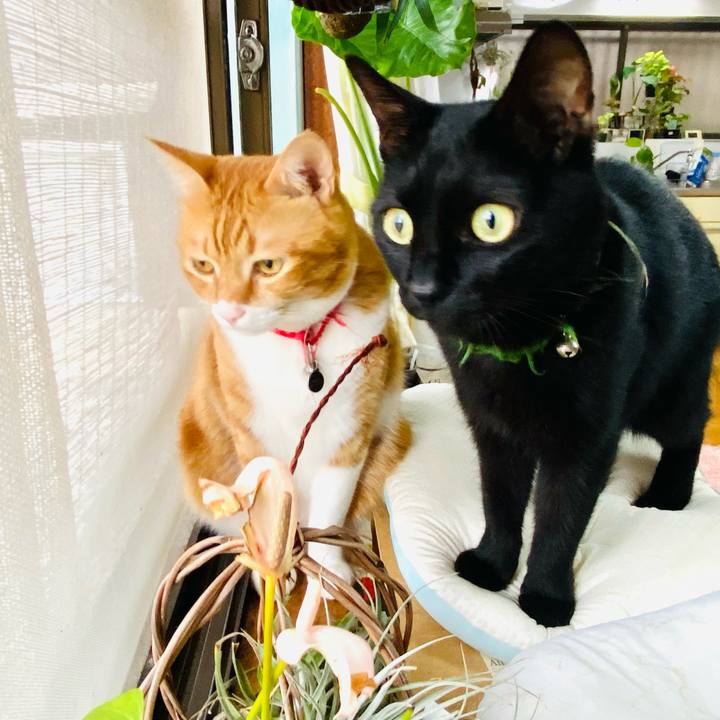 A00e38ff 5f0a 4b6f 8293 6d7258859577 1728864732848