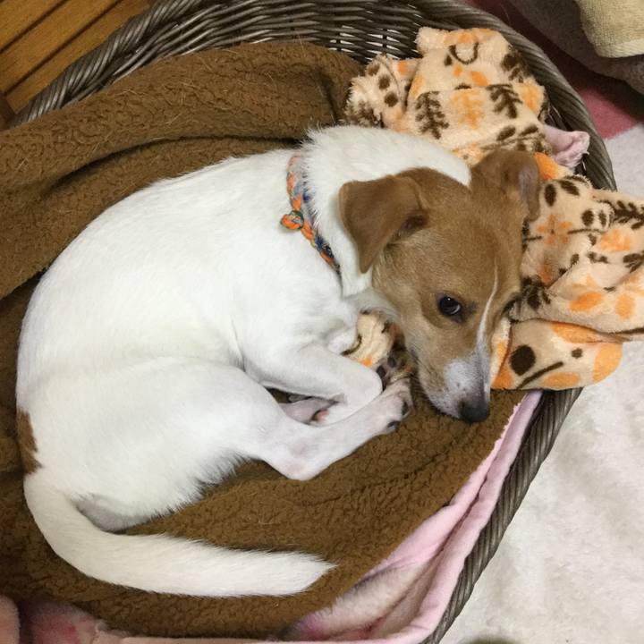 A00e650f 6803 4e0b a6f5 ff0a6271aa4e 1510285011003