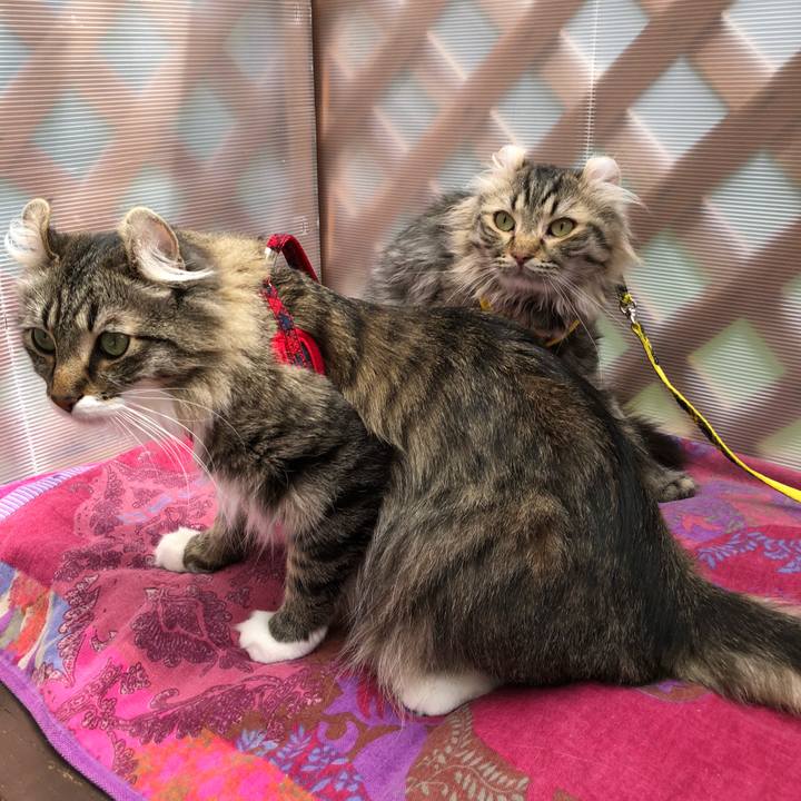 A00e9e48 3399 4516 a81f 78712a8f17e7 1525956574173