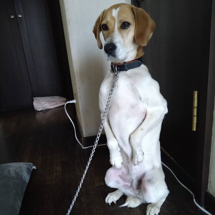 A00eb4d6 f092 4654 aa14 102cfad90ef0 1620637617142