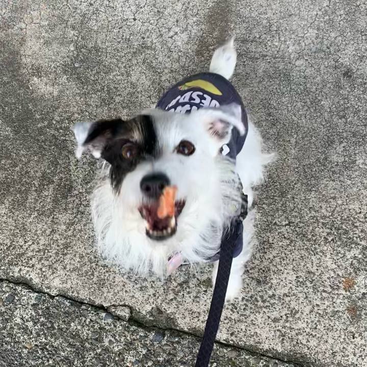 A00ec7c3 f6c2 4a2c b38e 2aefb4b377c5 1665447371461