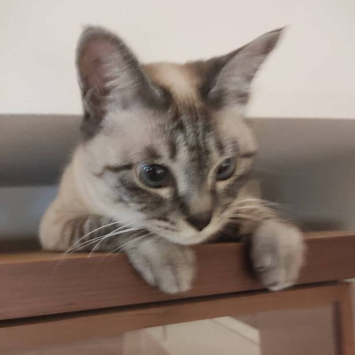 A00ed396 755c 4637 8f6a b7b78ae46b48 1619003961809