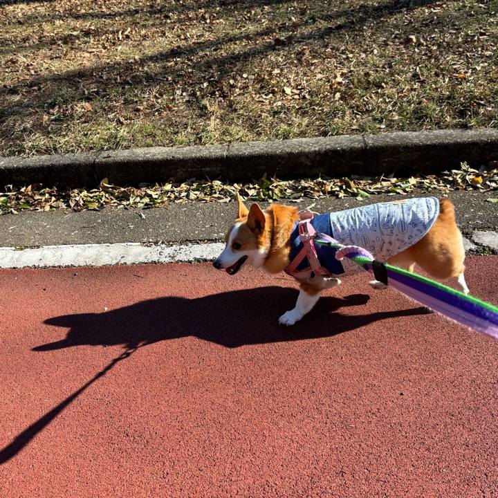 A00f09b1 46c7 4d8a b6db 253f3b3f013c 1766920614610