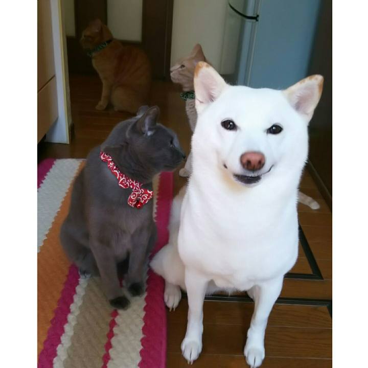 A00f0fd3 c6bf 4839 8ce8 f3d924ef3a3d 1532565733774