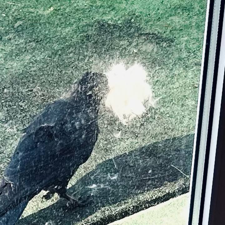 A00f3f56 dcea 4bcb 851b 475db4ddc6f4 1713306692435