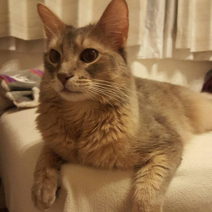 A00f6302 35a7 4157 af66 56e2e397f9f2 1517400603340