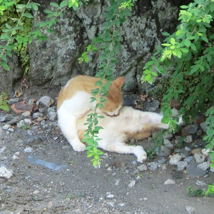 A00fc139 1077 44d7 93e7 faeeaae0ba26 1777864952181