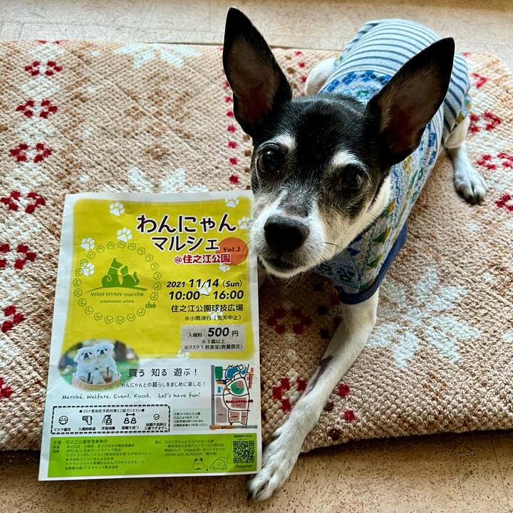 A00fd229 b86b 46c5 8c77 08d5bc6046d2 1635199717174