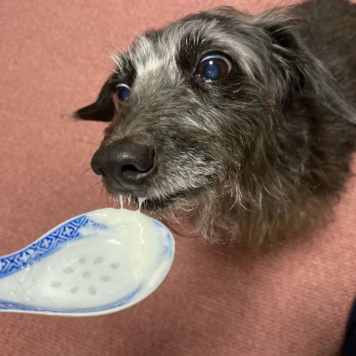 A00fe9ac b69f 465e b7e9 b19623dbde93 1607209165307