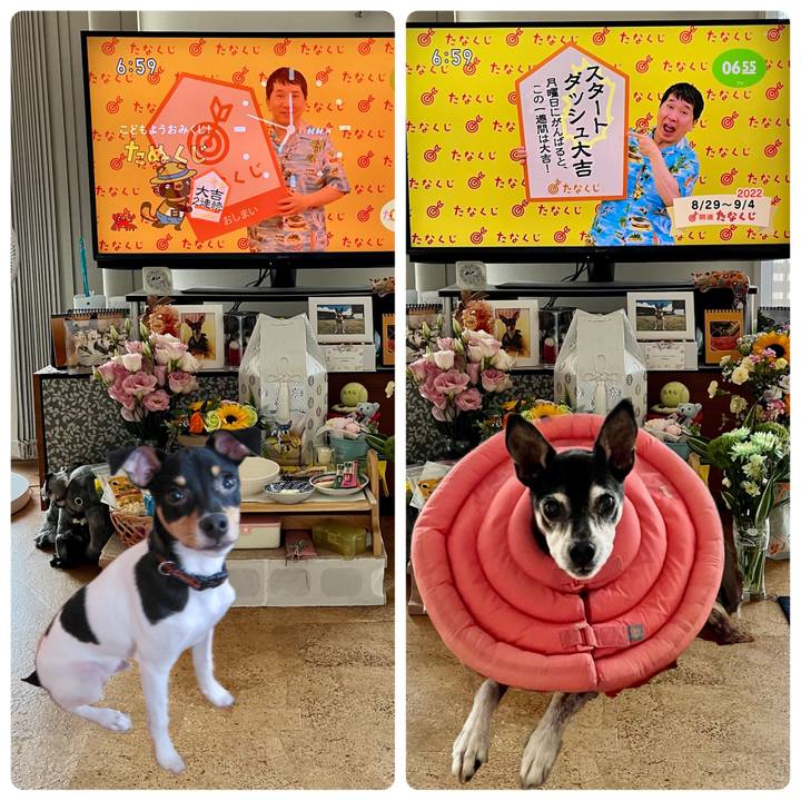 A010095d 8391 4fc7 94b1 62e6e8c74fdd 1661724643895