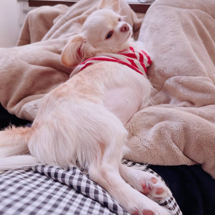 A0102ae8 b17d 4aa8 9aca 6bd93099d208 1680084320641