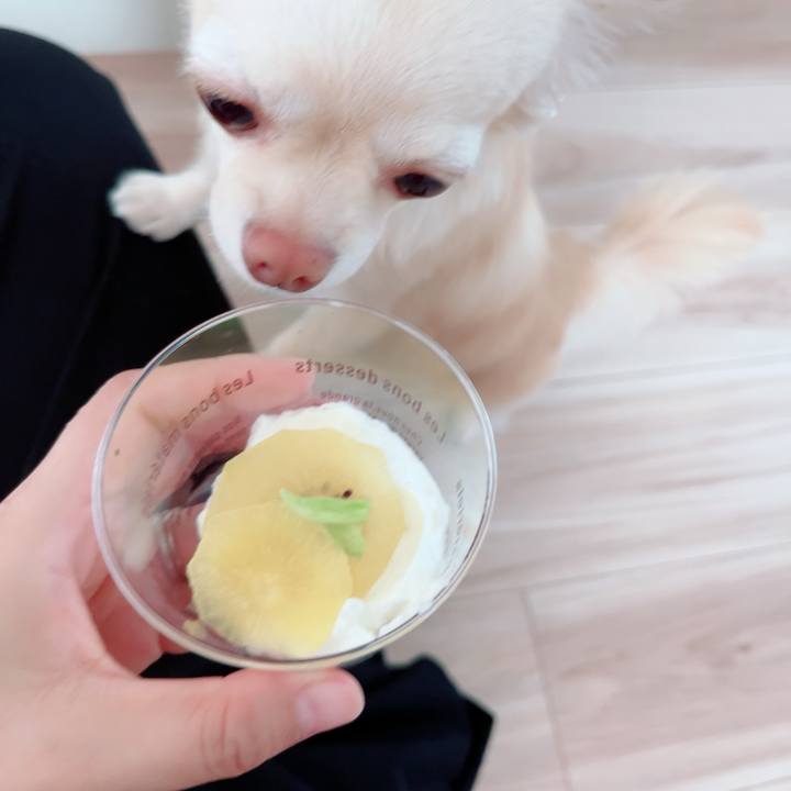 A010d138 86e0 40b8 aa95 2db3b585fdfa 1694518261563