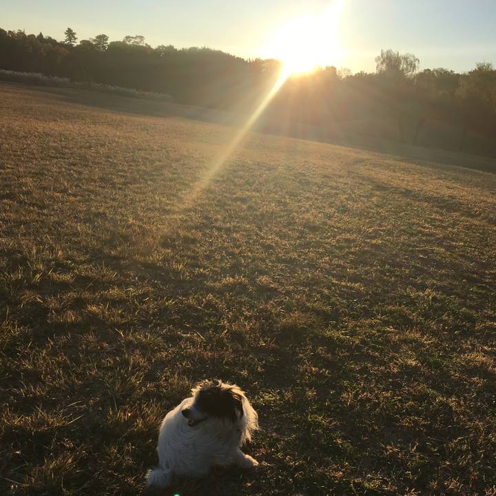 A010d855 ef0e 482b 8366 943ed5095c90 1511301923233