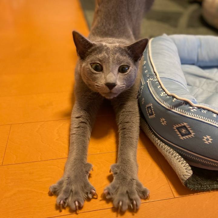 A01110f2 27fe 4463 86bb 3600f72f177e 1627550213684