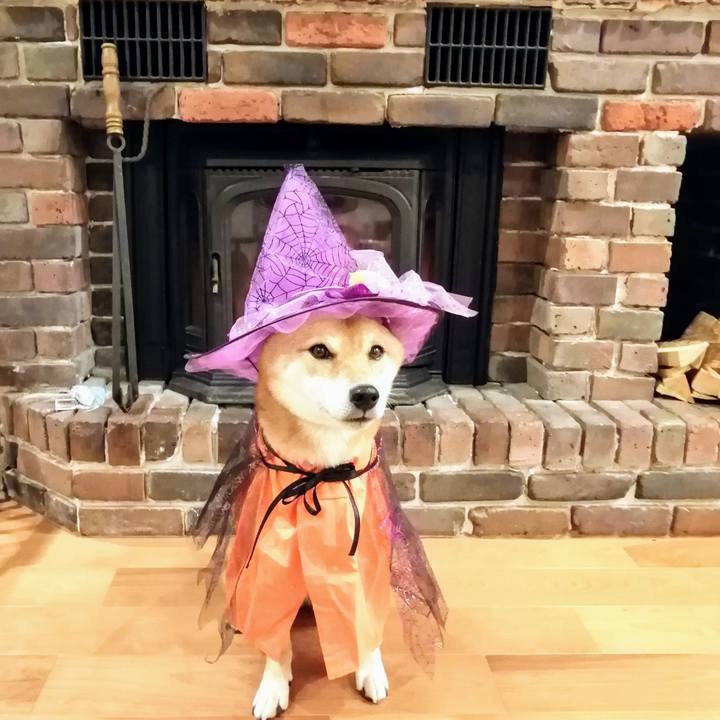 A011432a 1f9e 426f 91d2 d4ccae6944a8 1602330400072